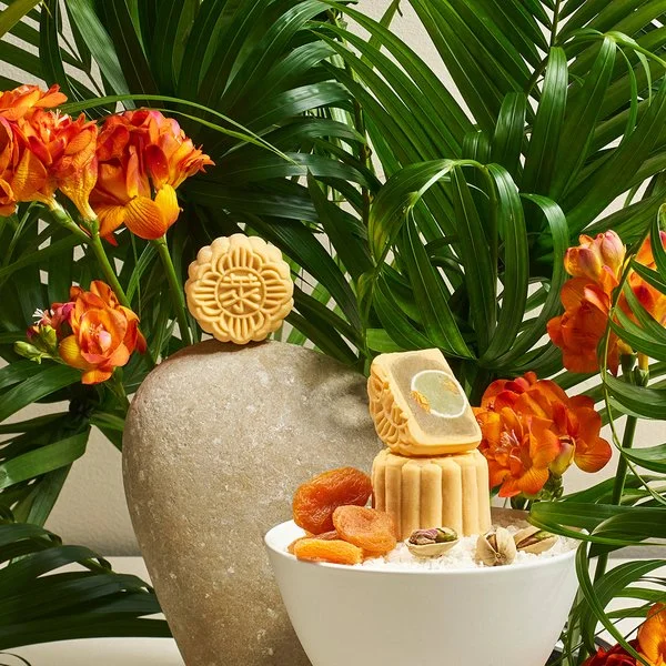 pistachio_apricot_snow-skin_mooncake
